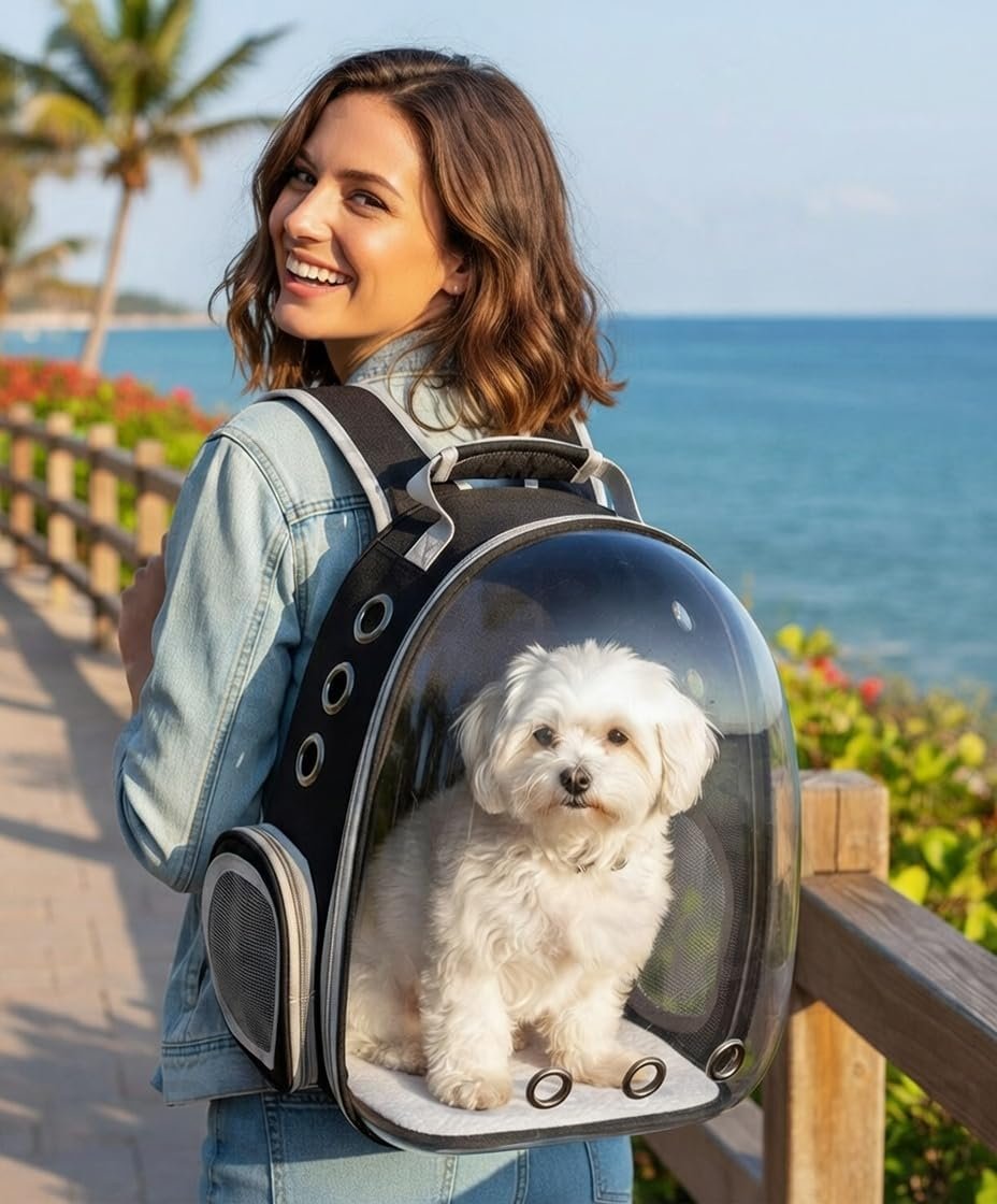 Vue lifestyle avec petit chien